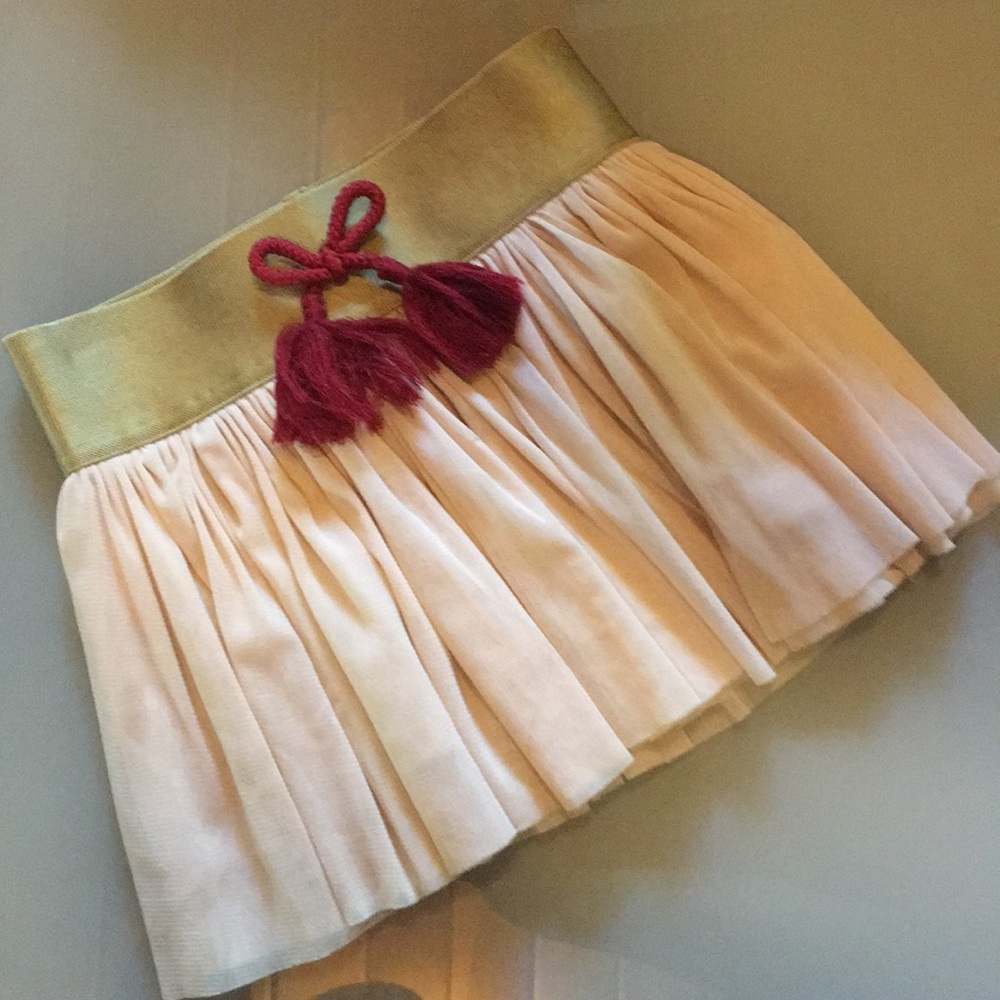 Junk food skirt